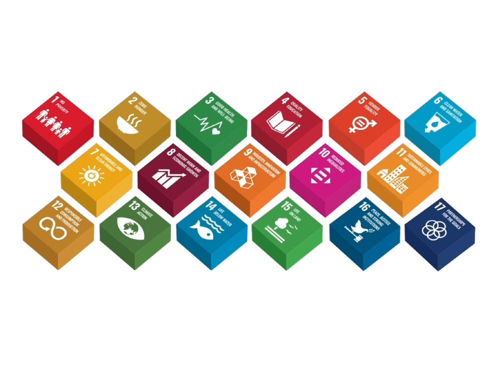 بۆ گەشەپێدانی بەردەوام 