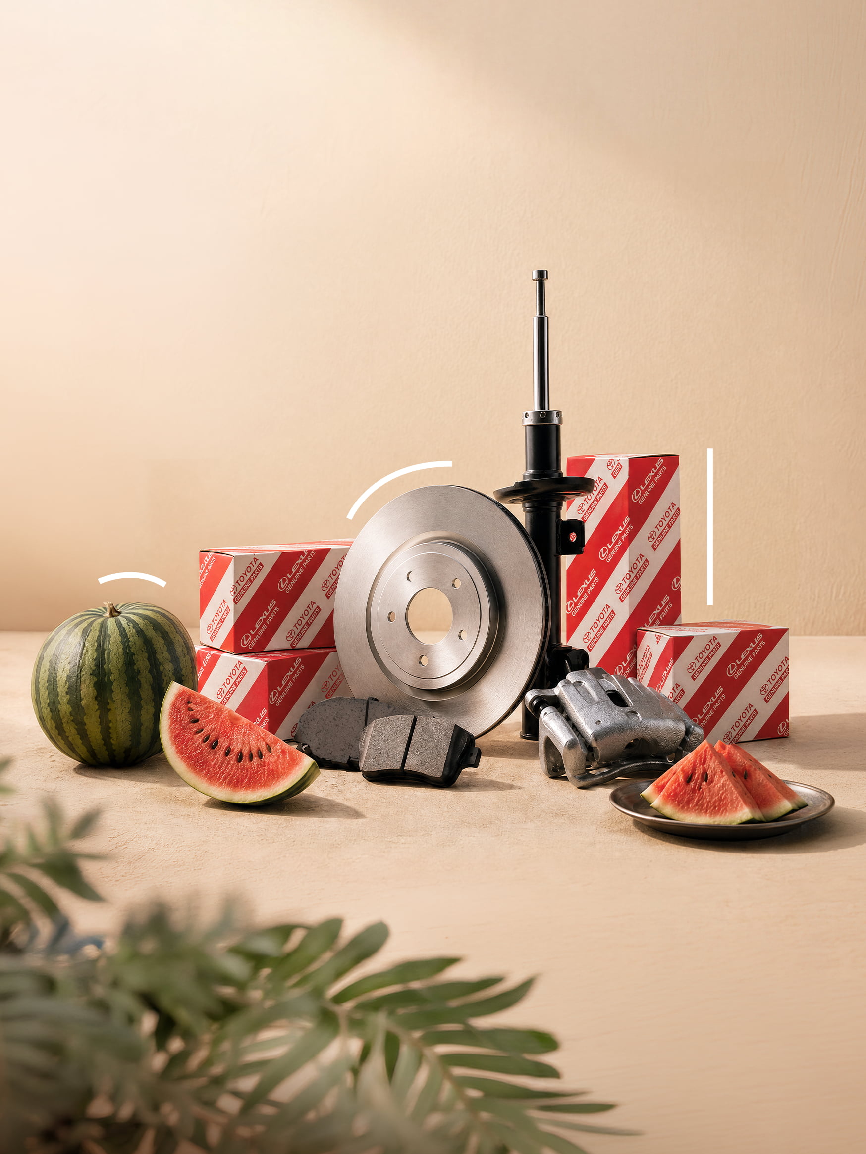 Seasonal Offer